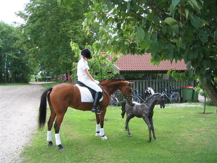 New Forest Miss Potter <3 - Velkommen til Potter´s side. <3 billede 1