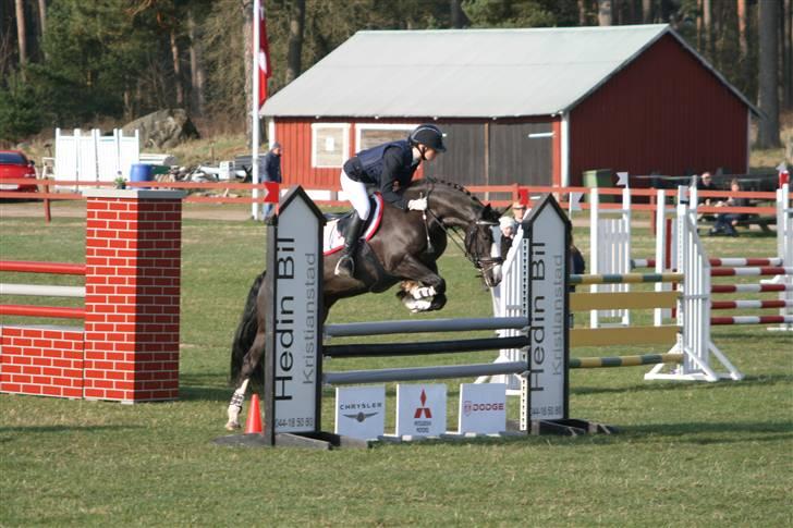 Irsk Sportspony Multistar Scan | A-PONY - 2009´s andet militarystævne. CNCP90 i Gärds. Foto: Morten Fiil billede 7