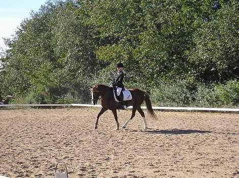 Anden særlig race Muskas *Død* billede 1