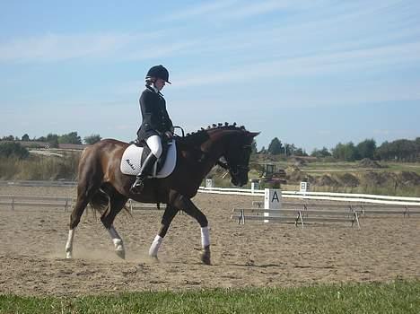 Anden særlig race Muskas *Død* billede 2