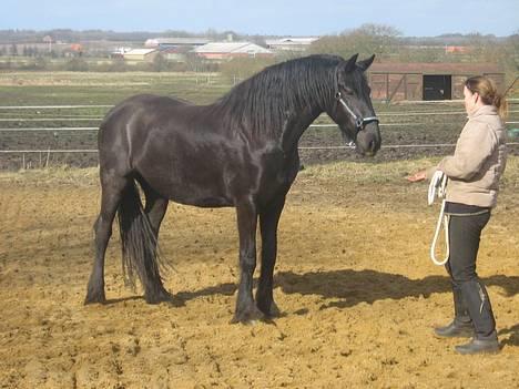 Frieser Nancy død d.19-02-2009 - 16-03-2007 billede 12