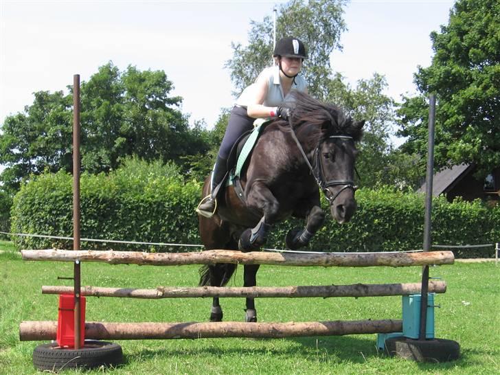 Anden særlig race Charlie :D - Charlie og jeg springer  80 cm. i tripelbar :D billede 8