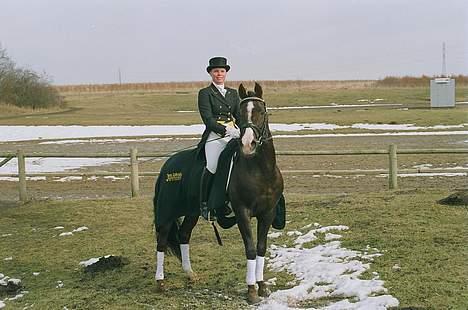 DSP cannon 103 sph - Cannon og Maria Pejtersen til hingste show nord på finstrupgård billede 6