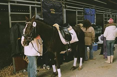 DSP cannon 103 sph billede 8