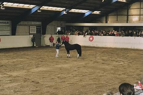 DSP cannon 103 sph billede 11