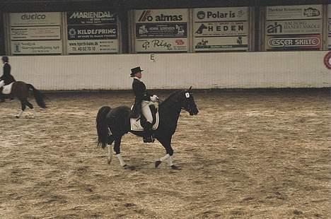 DSP cannon 103 sph billede 15