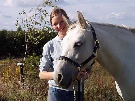 Connemara Stjernhøjs Tiggy C 925 - "Mig og Katrine, hun er nu god nok" billede 6