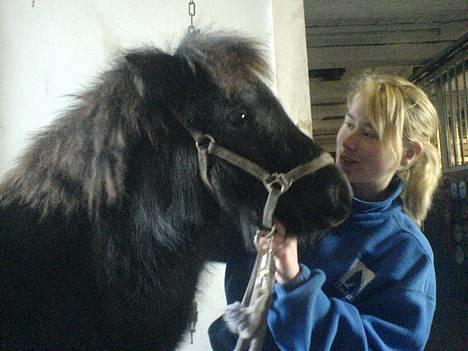 Shetlænder | kærholms  Fie «3  - Prinsessen  & Sirid <3 På stald gangen D. 10.December 2006, Fie 8 mdr :) * Nyt billede 8