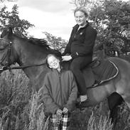 New Forest Bakkegårdens Isabella