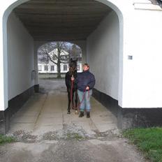 Dansk Varmblod Ulriksmindes Lucky Dice