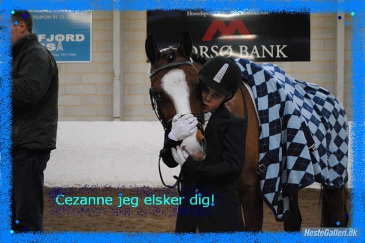 DSP Holmsgaards Cezanne  - Mig og min stjerne pony på MRR billede 19