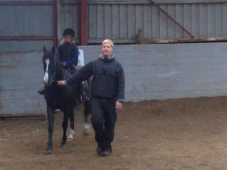 Anden særlig race Prins Løjser billede 7