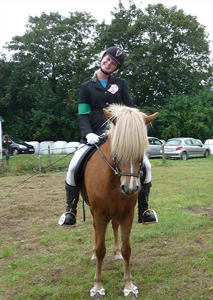 Islænder Björk Fra Porsmosen  - velkommen til vores profil, læg gerne en kommentar og bedømmelse. <3  billede 1