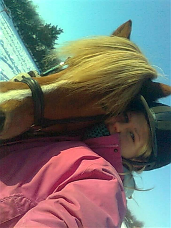 Islænder Björk Fra Porsmosen  - mig og björk <3 2010 grindsed billede 12