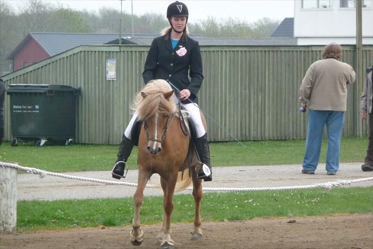 Islænder Björk Fra Porsmosen  - bededag 2010 billede 16