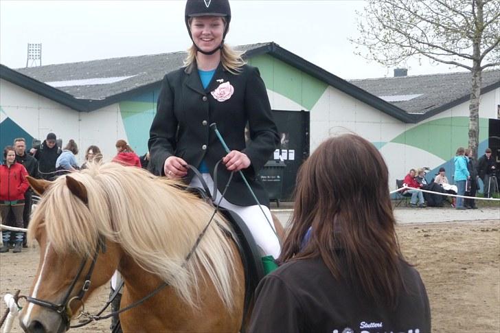 Islænder Björk Fra Porsmosen  - en glad frans kommer ud, men en super dygtig hest ! <3 billede 17