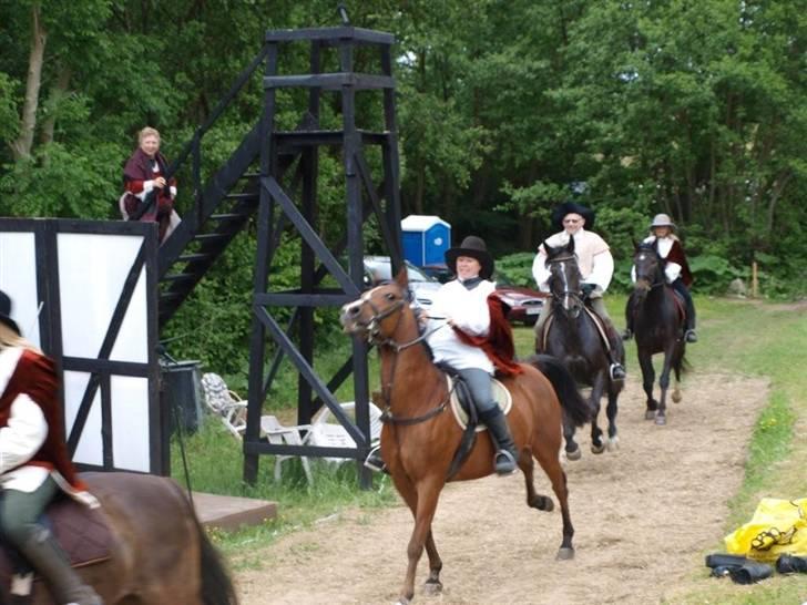 Arabisk fuldblod (OX) Sarina Isa - Sydsjællands kulturteater, Is hesten under en af Svend Gønges tapre snaphaner billede 11