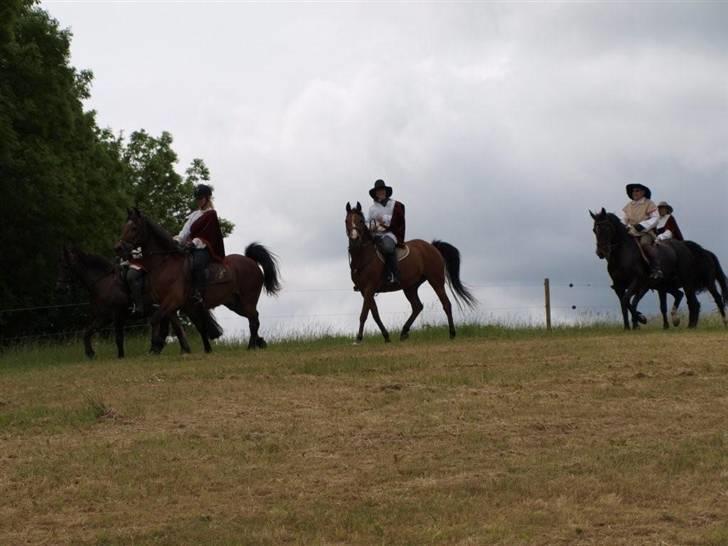 Arabisk fuldblod (OX) Sarina Isa - Kulturteater billede 12