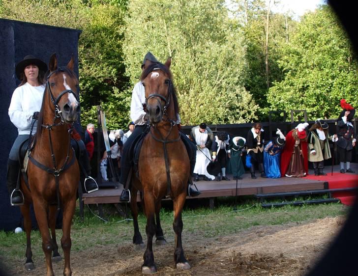 Arabisk fuldblod (OX) Sarina Isa - "En satans jord" billede 17