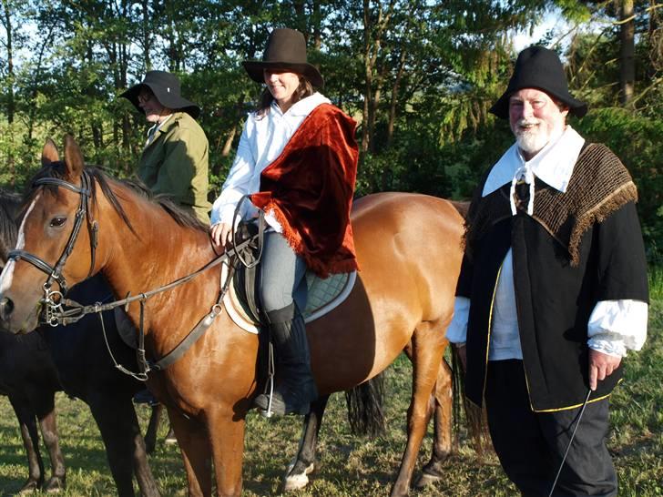 Arabisk fuldblod (OX) Sarina Isa - teaterstjerne billede 18