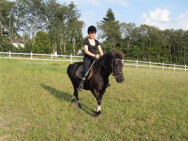 Anden særlig race Rollo <3 billede 18