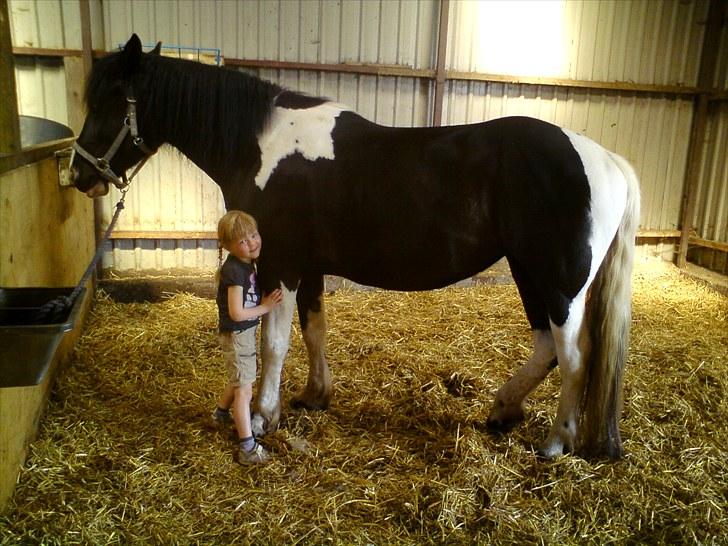 Barockpinto Aranka* RIP* - Vi sover ( : billede 8