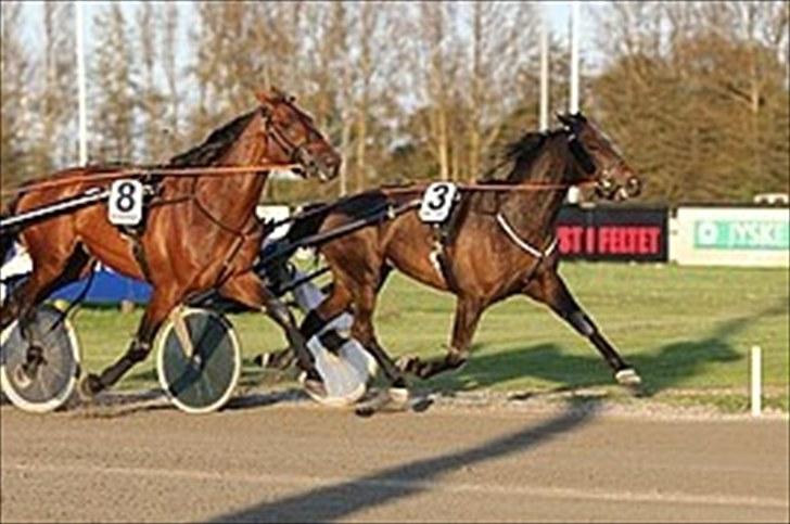 Traver Kiss mac laid billede 7