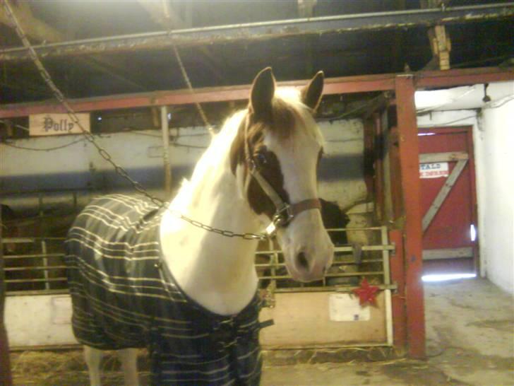 Anden særlig race Canupa - Så bliver der rent i din books billede 3