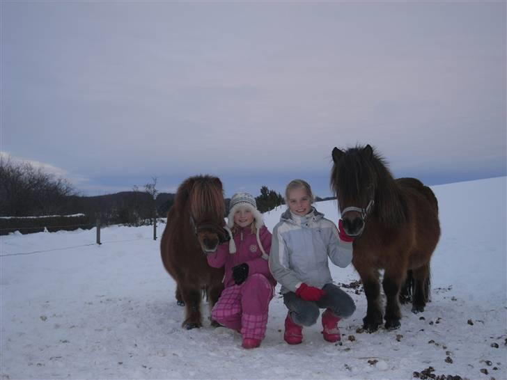 Shetlænder Prins (lillesøsters) - Mig og Prins ved siden af Camilla (lillesøster) og hendes pony Rasmus :D <3 billede 17