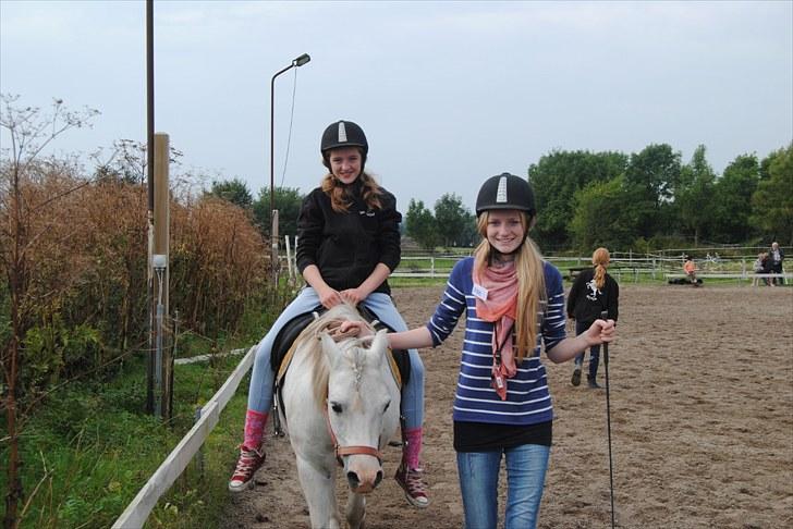 Welsh Mountain (sec A) Dundee - Bidløs ponyridning på rideskolen, med trækker og det hele! xD - [Foto: Emilie] billede 17