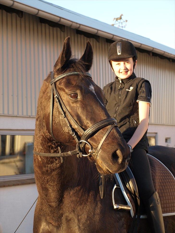Anden særlig race †Charlie Brown R.I.P† - Dejlige hest, gammelt billede billede 18