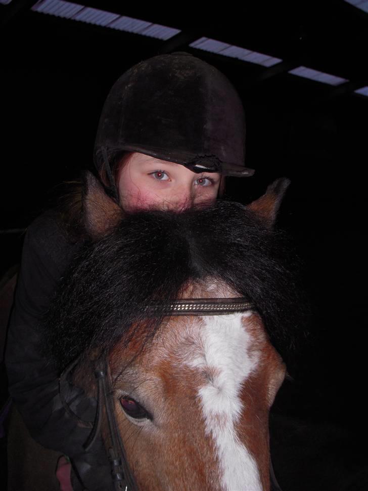 New Forest Prins<3 (Gamle part) billede 16