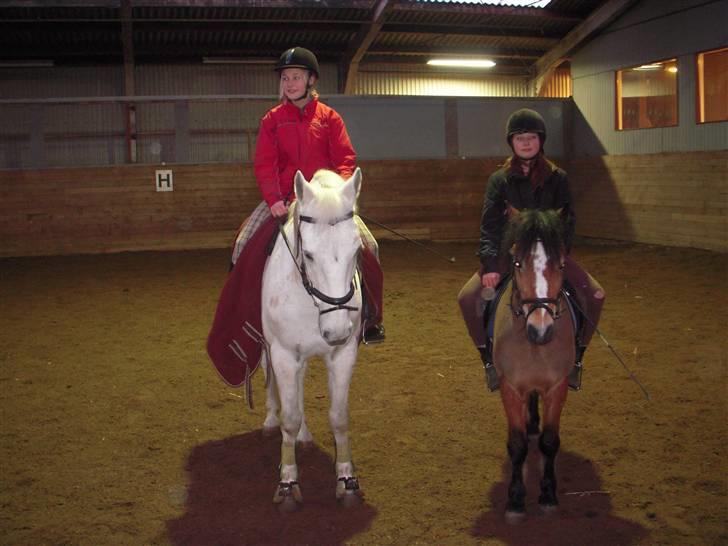 New Forest Prins<3 (Gamle part) billede 17