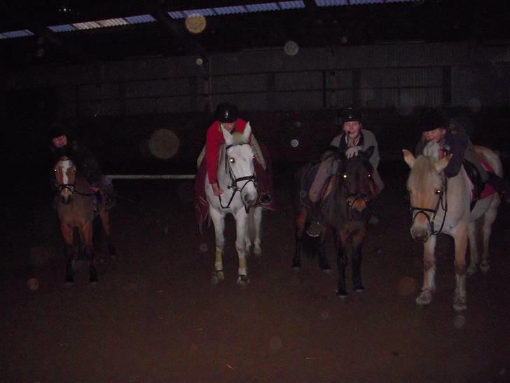 New Forest Prins<3 (Gamle part) billede 18