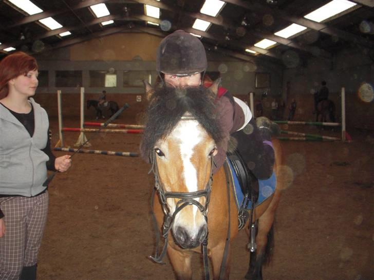 New Forest Prins<3 (Gamle part) billede 19