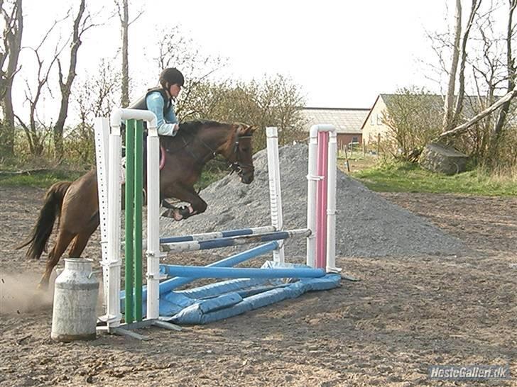Anden særlig race Maarielunds Fairytale - i sommers "uhh den er farlig"  billede 6