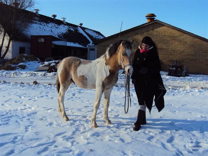 Anden særlig race  Wilse´s Santo billede 19