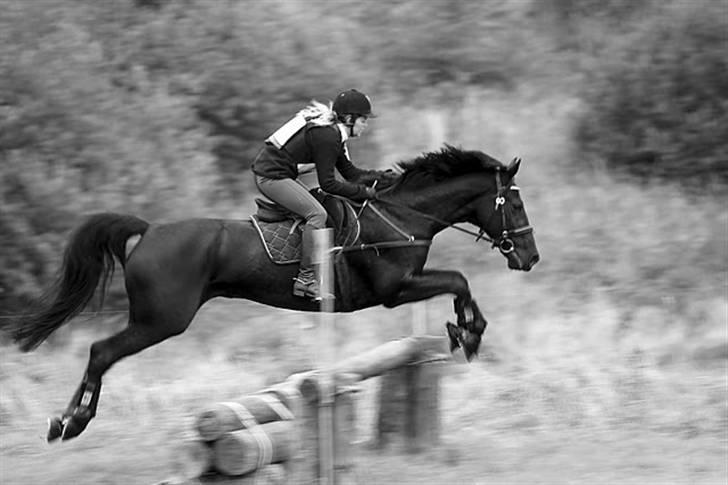 Anden særlig race Viva Vilma billede 1