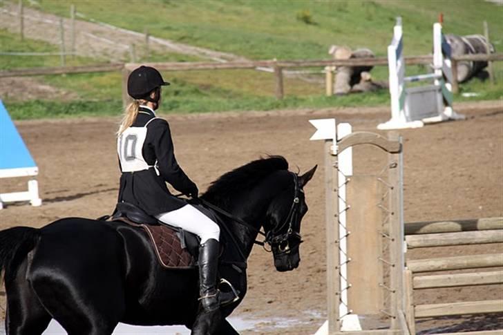 Anden særlig race Viva Vilma billede 2