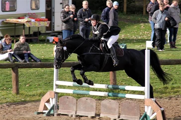 Anden særlig race Viva Vilma billede 3