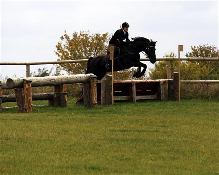 Anden særlig race Viva Vilma billede 5