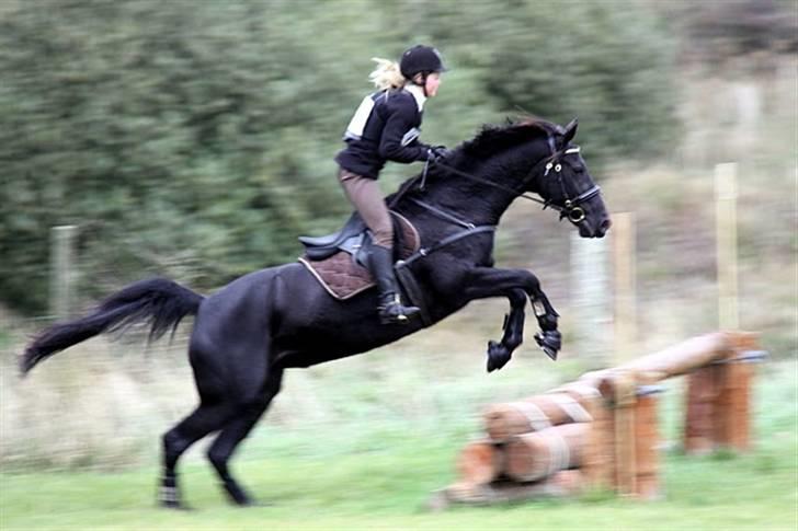 Anden særlig race Viva Vilma billede 8