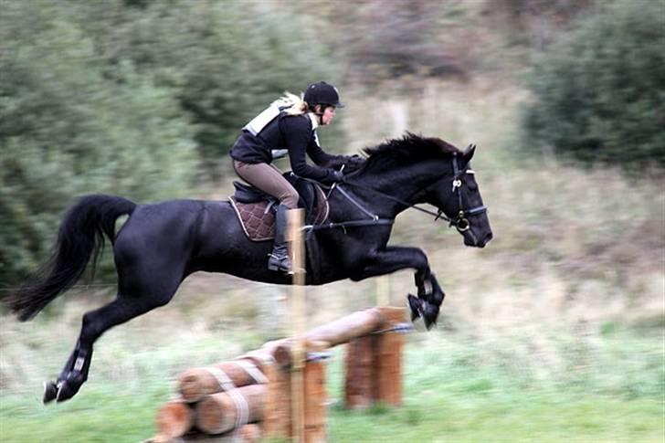 Anden særlig race Viva Vilma billede 9