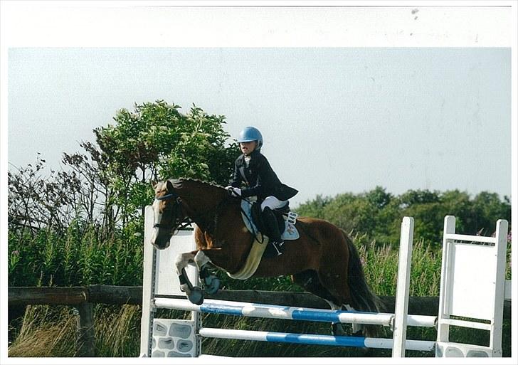 Welsh Cob (sec D) Sir Ginger Web - Naja og Ginger til stævne i Hodsager 2010 :-) billede 14