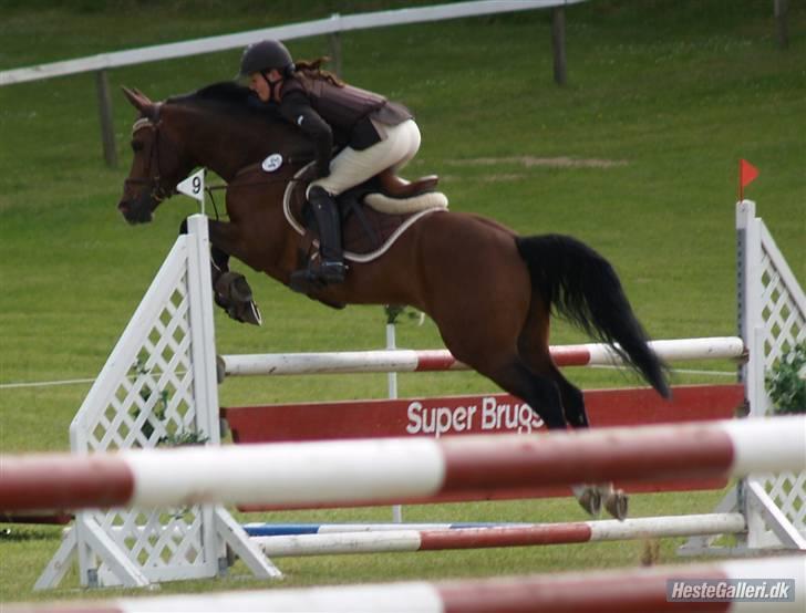 DSP FRIIS KAHLUA - Her flyver de lige gennem en LB igen for hest havde de startet pony havde han været B pony på en weekend  billede 20