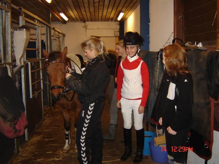 Anden særlig race Happy - Emma og Happy er Elvis til kostumedressur. billede 6