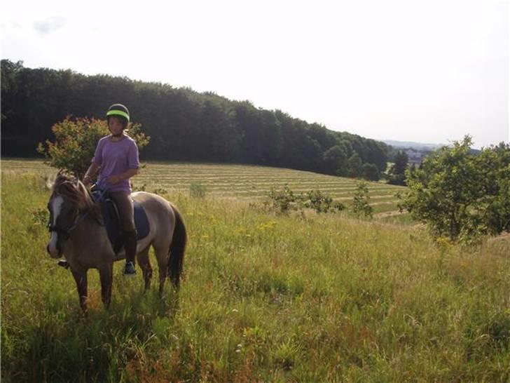 Anden særlig race Sia **solgt** - <3 billede 12