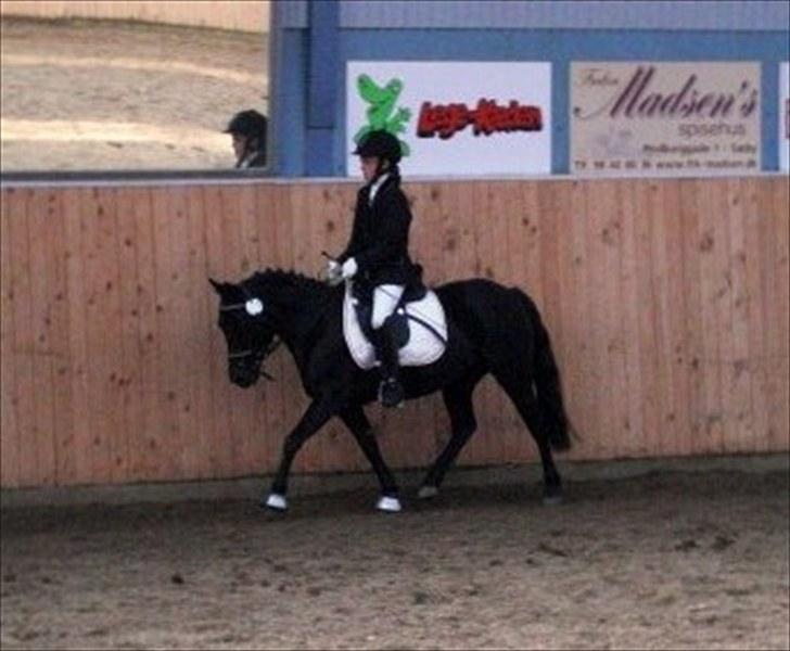 Anden særlig race Tornado SOLGT - La1, opvarmning FOTO: Mille Godby billede 15