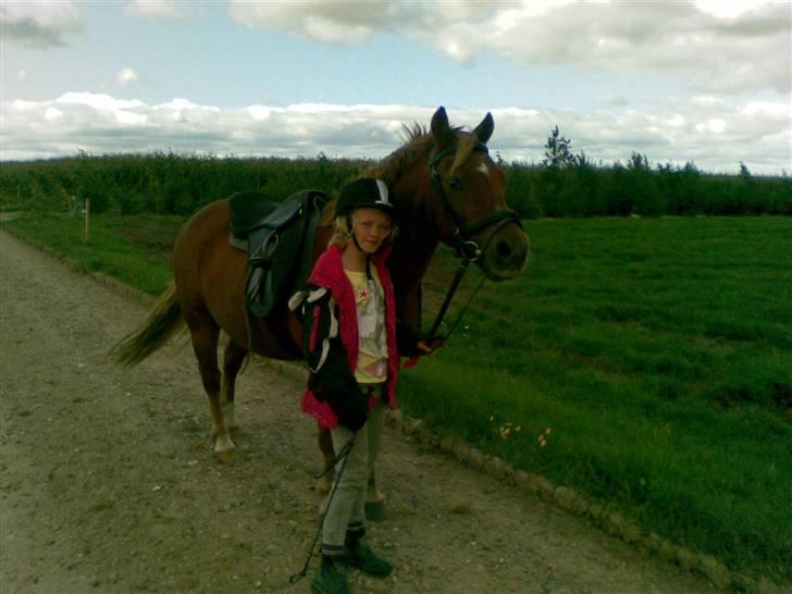Anden særlig race lucas  billede 16