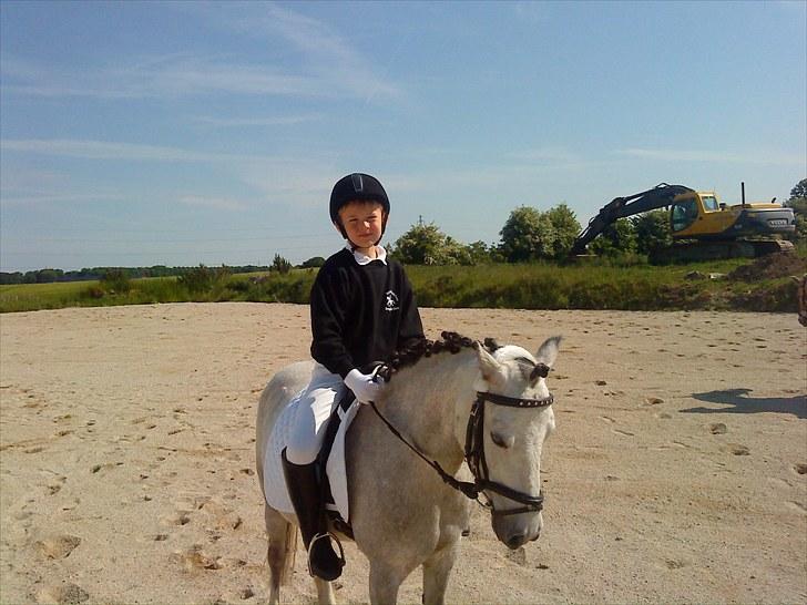 Anden særlig race Askepot  billede 17